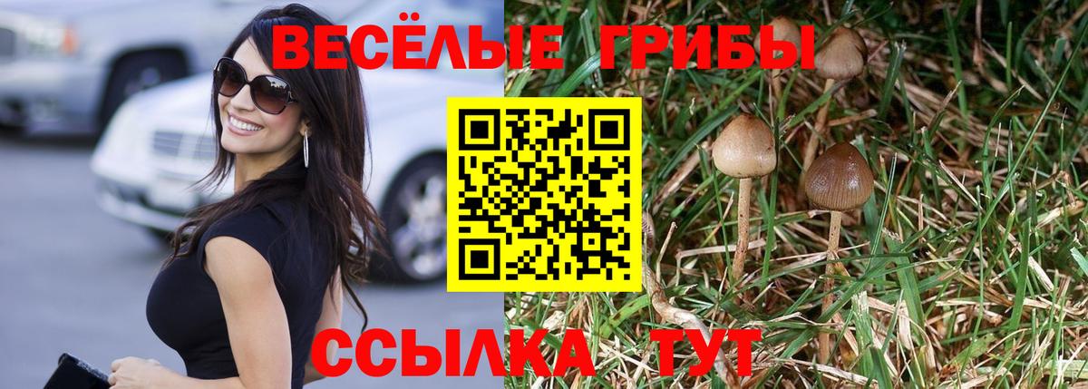 Трёхгорный  Галлюциногенные грибы GOLDEN TEACHER  Вход с VPN  Псилоцибиновые грибы ЛСД 