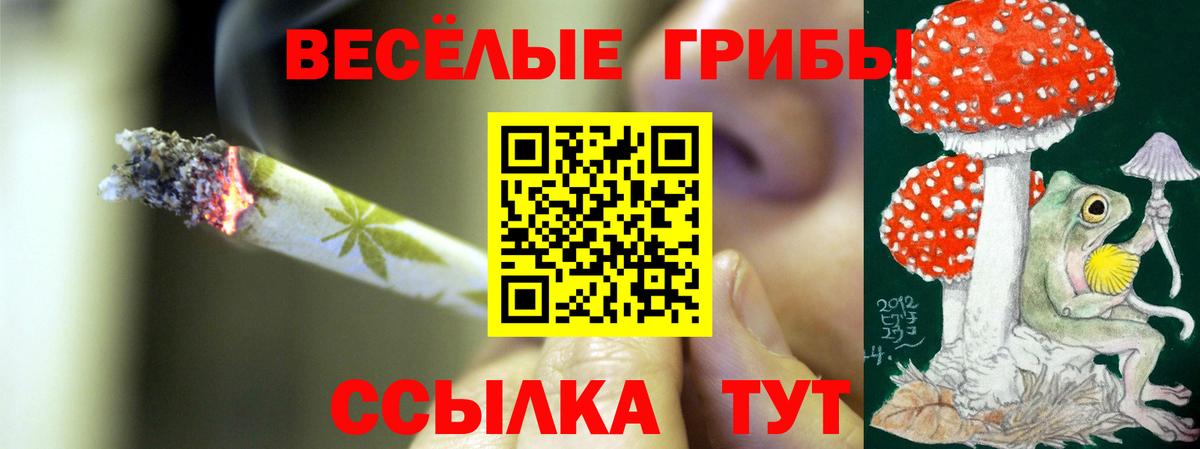 Псилоцибиновые грибы Cubensis Трёхгорный
